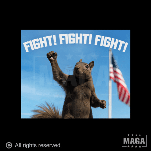 p nut fight p nut fight maga trump 37234892144817