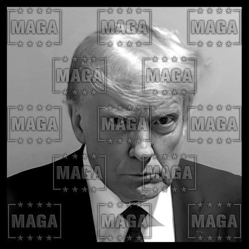 trump mug shot maga trump 34883114696881