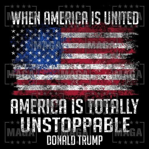 when america is united maga trump 34670433206449